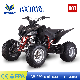  250cc Sport ATV Racing Quad