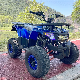  Hot Sales 125cc Motorcycle 110 ATV Quad Bike 4 Wheeler Dune Buggy ATV