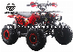  Apaq 110cc ATV 125cc ATV for Kids