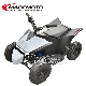 Wholesale 2023 Best Cheap Price 500W 1000W 1500W 36V 48V 60V 72V New Kids Mini Electric Motor ATV Quad Bike for Sale Children Atvs From 250cc ATV Quad Factory