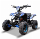 36V 500W Pocket Quad Electric Kids Car 1000W ATV Quad Bike