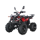 Factory ATV Quad Bikes A150cc 4X4