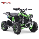 Four Wheel Motorcycle ATV Quad Bike