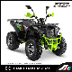 Apollo EEC Commander 200cc ATV, CVT Engine with Balance Shaft, LCD Speedmeter Ktm ATV Electric ATV for Kids EEC ATV