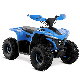 48V 1600W 4 Wheeler Quad Bike Electric ATV for Kids manufacturer