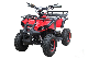  Upbeat Brand 500W Quad Electric ATV Electric Mini ATV for Kids High Quality Quad