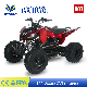  2022 New CE Approved 150/200cc Electric Start Adults ATV