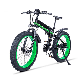  Full Suspension 26 Inch 48V 1000W Fat Electric Mountain Bike Big Tire 26*4 Tire off- Road E Bike Big Power Snow E Bike with CE