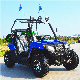  Side by Sides 60/72V 1500/1800W Dune Buggy Electric UTV for Adult