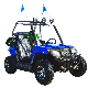  2023 High Quality Adult Electric UTV 1500W 2 Seater UTV