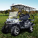 Best Brand 2 2 Electric Utility Kart Golf Cart Golf Buggy Price Electric UTV