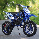 49cc 2-Stroke Petrol Version Is Coolmini Dirt Bike for Kids manufacturer