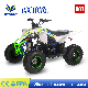 New Type Quad Sports Motor ATV for Kid, Pentora 110cc manufacturer