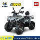 Hot Selling ATV Hammer Gy6 CVT, 4 Wheeler EEC ATV 200cc for Adult manufacturer