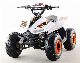 Hot Sales 110cc ATV Quad Bike manufacturer