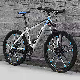  Electric Bike off-Road Bicycle 1.95