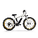 800W Brake Sensor Hydraulic Brakes Recumbent 3wheel Cycle 1500W Fat Ladies Folding 20 Inch 4 Person Electric Bike