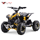 1200W 48V Brushless Motor Electric Kids off Road Quad Bike 4 Wheelers Mini Atvs