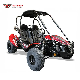 150cc Adult Gas Powered 4 Stroke 2 Seaters Karts Karting Beach Dune Buggy Go Kart manufacturer
