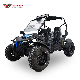 275cc 300cc Gasoline 2 Seaters Adult off Road Buggy Dune Carting Go Kart manufacturer