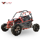 300cc 2 Seats Adult Gas off Road Sand Cross Dune Dirt off-Road Go Kart Buggy manufacturer