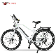 250W 36V Brushless Motor Lithium Battery City E Bike Electric Bicycle manufacturer