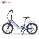 20 250W 36V Brushless Motor Lithium Battery Electric Bike E Bicycle manufacturer