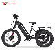 48V 750W Brushless Motor LCD Display 20 Electric 3 Wheelers Bike Tricycle manufacturer