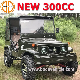  Newest 300cc 2 Seat Willys Jeep UTV for Adult (MC-432)