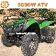 Bode New 5000W Electric Farm ATV manufacturer