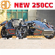  Bode Quanlity Assured New EEC 250cc Ztr Trike Roadster for Sale