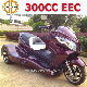 New Racing Trike ATV 250cc