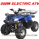 500w Electric ATV (MC-212) manufacturer
