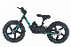 16 Inch Big Tire 200W 21V Electric Balance Bike Toy Bike for Sale manufacturer