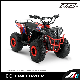 Mini Commander 110cc ATV, Semi-Automatic, Electric Start, Quad, Four Wheels ATV, Hot Sales manufacturer