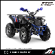 Aapollo TV Electric Quad Buggy Electric ATV Quad Bike Homologation Quad ATV Sports ATV Quad Kids ATV Electric Kid ATV