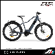 Apollo Center Motor Electric Bike Bicycle Ebike Trekking Bike City Bike Shimano 9 Speeds manufacturer