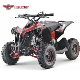 Kids 49cc Gas Powered Mini Motorcycle ATV Quad Bike Basic Customization