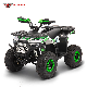  Brushless Shaft Drive Electric ATV 2500W with Differential