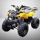 125cc Quad Bike ATV with CE manufacturer