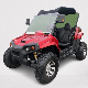  High Quality 200cc Buggy off-Road Go Kart Factory Direct Wholesale UTV with CE