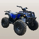  High Quality Chain Drive 200cc Electric 4 Wheeler ATV for Adults