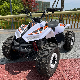  Mini Kids Quad Bike ATV with CE 4 Stroke