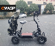  Electric 4X4 Offroad Electric 4X4 Golf
