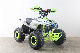 125cc Multi-Color Optional Multifunctional Mini Electric Quad Bike for Adult manufacturer