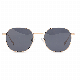 Fashionable Metal Shades Colorful High Quality Tac Polariod Metal Frame Sunglasses