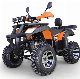 250cc Atvs Quad Four Wheelers for Adults manufacturer