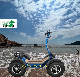 Fold Electric Scooters Most Popular 6000W Adult Electric ATV 4* 4 3000W Electric Atvs for Sale manufacturer