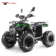 150-200cc Adults Teens 4 Wheelers Racing Quad Bikes Farm ATV manufacturer