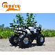 ATV Quad Youth 125cc ATV 4 Wheelers Youth 4 Wheeler Big Boys